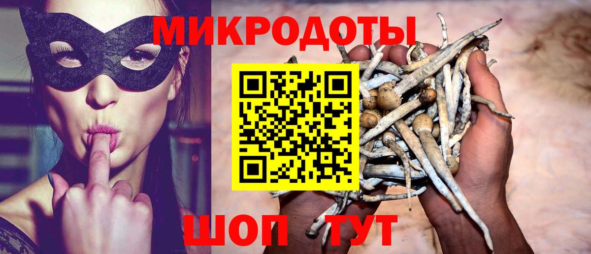Галлюциногенные грибы Psilocybine cubensis  Вход с VPN  Галлюциногенные грибы MAGIC MUSHROOMS  Чебаркуль 